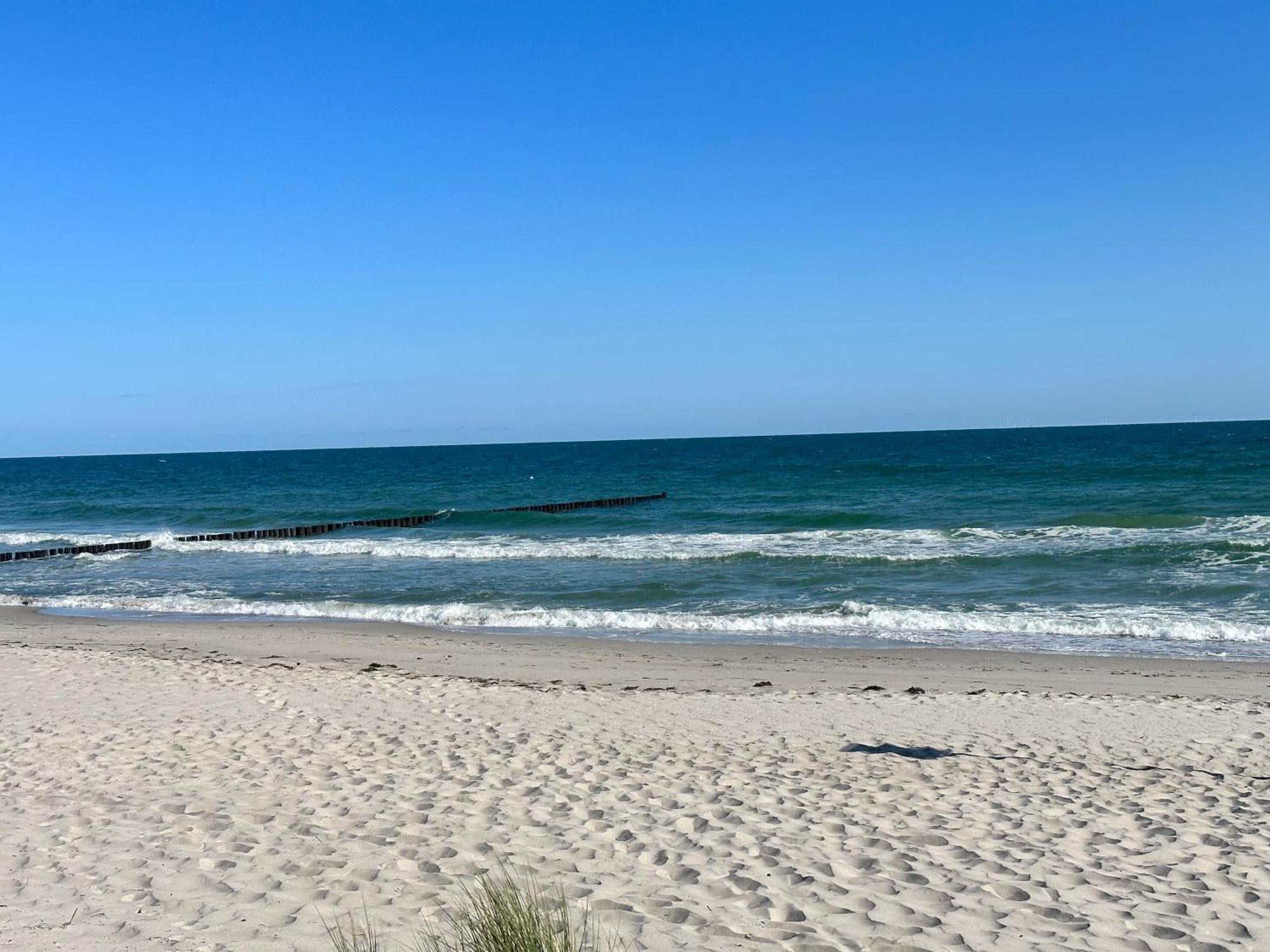 Kuestenfeuer Zingst Exteriör bild